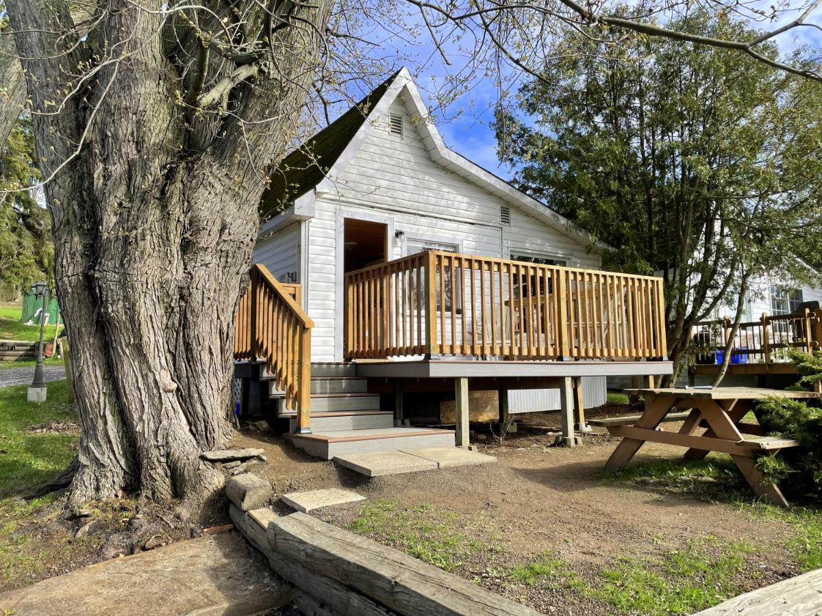 Merland Park Cottages And Motel Picton Exterior foto